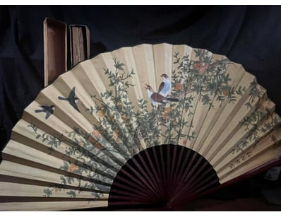 Sport, Leisure & Lifestyle (A988) - Lot 66