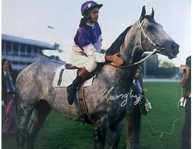 Mancave & Memorabilia (A981) - Lot 1401