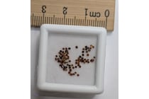 HALF CARAT BROWN DIAMOND GEMSTONES Half
