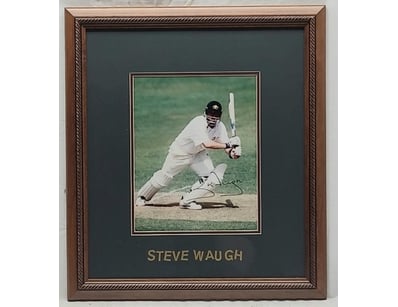 SINGLE VENDOR LIFETIME COLLECTION (A1001) - Lot 832