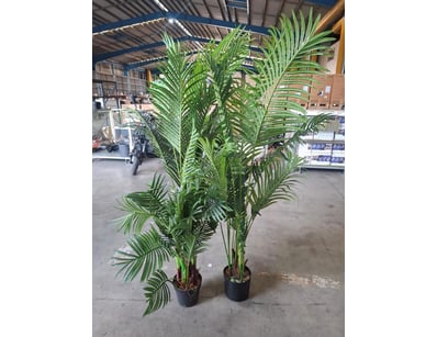 House & Homewares (A987) - Lot 137