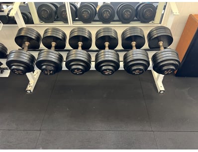 Quality Commercial Gym Equipment - Business Clos... - Lot 40