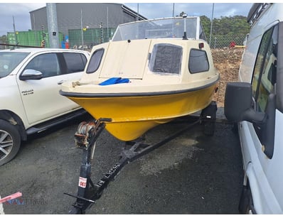 Oceanic Boat Trailer And Mustang 1500 Boat, Fibreg...