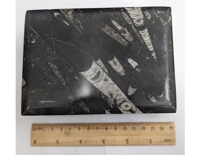 The Curio Collection (A988) - Lot 5029