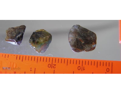 10.3CT NATURAL NSW ROUGH SAPPHIRES       

 


 

...