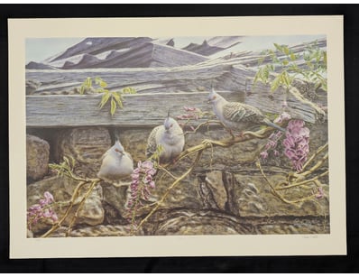 Art Market (A983) - Lot 5014