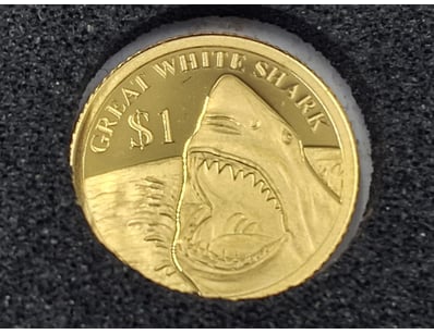 Rare & Collectable Currency (A986) - Lot 28