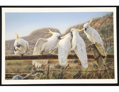 Art Market (A983) - Lot 5011