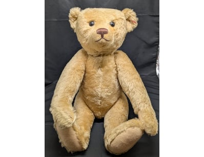 The Curio Collection (A995) - Lot 1169