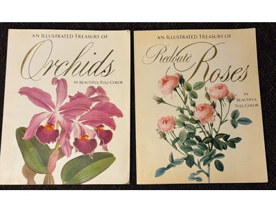TWO ART BOOKS

Includes: 
An Illustrated Treasury ...