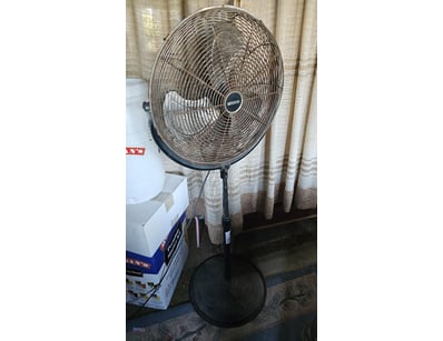 Metal Pedestal Fan

Onsite

Location: Bundaberg,...
