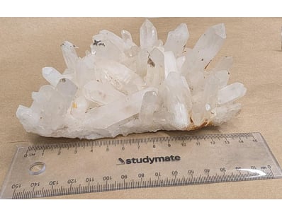 The Curio Collection (A985) - Lot 1119