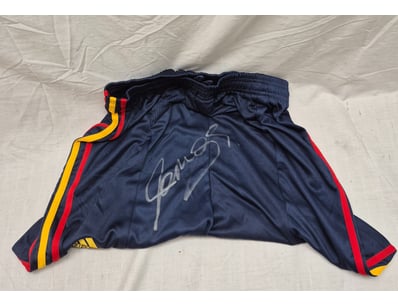 Mancave & Memorabilia (A995) - Lot 720