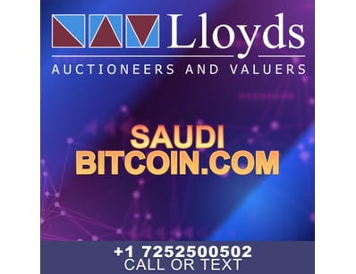 Historic Domain Auction: Bitcoin Portfolio + Ico... - Lot 27