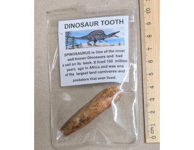 The Curio Collection (A985) - Lot 1136