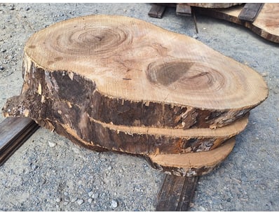 Hardwood Timber Slabs (ON4481) - Lot 30