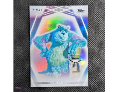 SULLEY RAINBOW FOIL PARALLEL – #118

Key Specifica...