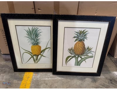 Two small pineapple print frames

Dimensions: 48cm...