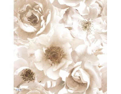 RRP $219 Mr. Kate (RMK12324M) Creamy Floral Peel a...