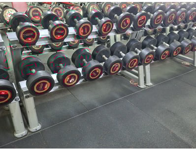 Gym Equipment Liquidation (ON11749) - Lot 41