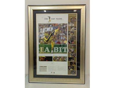 Mancave & Memorabilia (A1001) - Lot 802