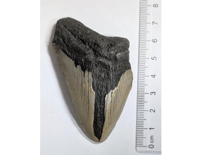 Antiques, Vintage & Interior Treasures (A998) - Lot 1519