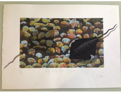 Fine Art (A979) - Lot 4001