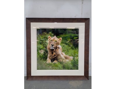 

PETER LIK

Original Limited Edition Photogra...
