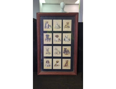 FRAMED COLLECTION OF TWELVE DOG BREED ILLUSTRATION...