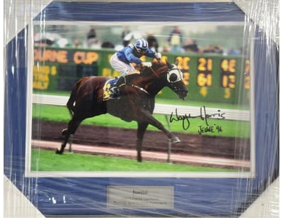 Mancave & Memorabilia (A999) - Lot 710