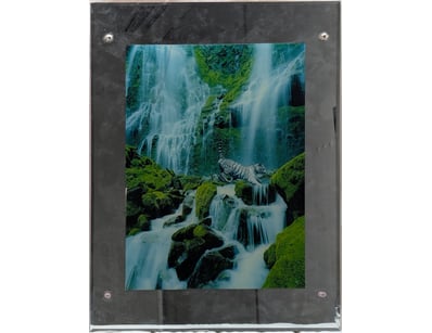 The Curio Collection (A995) - Lot 1045