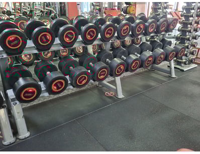 Gym Equipment Liquidation (ON11749) - Lot 42