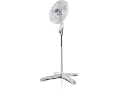 Kitchen Appliances, Toys & Home (VICA980) - Lot 1086