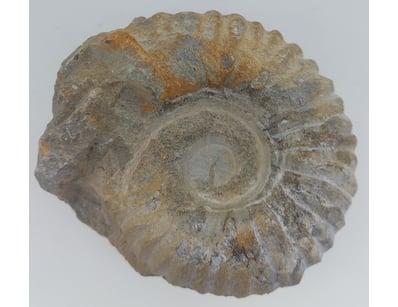 Crystal Galore Liquidation (ON11778) - Lot 53