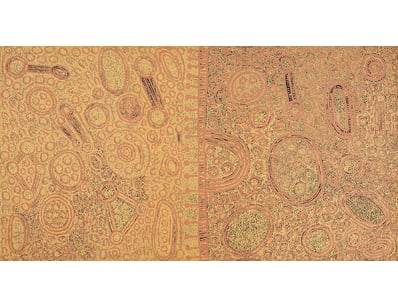 Fine Art (A983) - Lot 2005