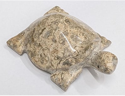 The Curio Collection (A988) - Lot 5020