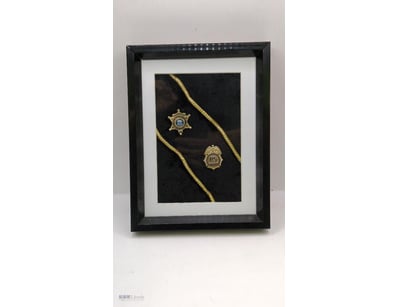 2X FRAMED ELVIS PRESLEY GOLD U.S LAW ENFORCEMENT B...