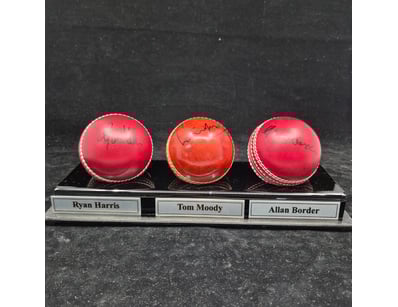 SINGLE VENDOR LIFETIME COLLECTION (A1001) - Lot 888