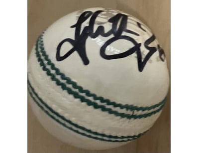 Mancave & Memorabilia (A987) - Lot 1054