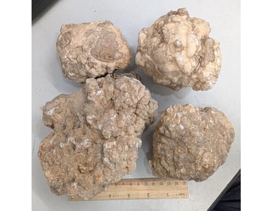 The Curio Collection (A988) - Lot 5027