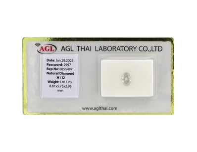 International Diamond And Gemstone Dealers Cle... - Lot 1008