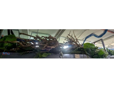 Bulk lot of artificial plants and foliage., 

Sold...