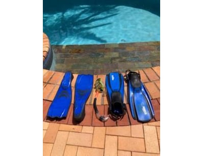 Sport, Leisure & Lifestyle (A978) - Lot 495