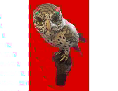 Antiques, Vintage & Interior Treasures (A1006) - Lot 1054