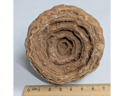 Antiques, Vintage & Interior Treasures (A998) - Lot 1526