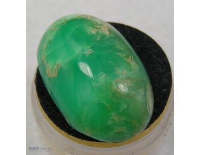 31.84CT AUSTRALIAN QLD CHRYSOPRASE        

Condit...