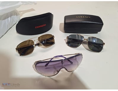 1x Rayban Sunglasses, Model - RB 3663, 1x Carrera ...