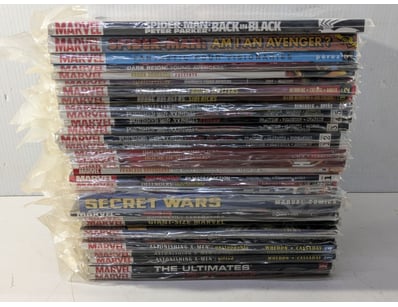 SA Public Trustee Home & Collectables Clearanc... - Lot 4264