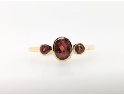 9CT YELLOW GOLD GARNET RING


583010+254


