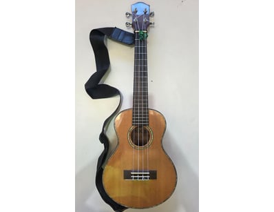 Gadgets, Music & Pastimes (A1005) - Lot 7